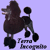 Сайт Чёрной Королевы Terra Incognita ot Zolotogo Priboja 