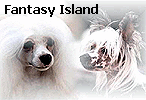 питомник "Fantasy Island" (Швейцария)